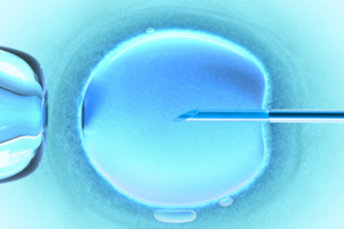 上海供卵试管网，上海供卵联系当选坤和助孕ok教授