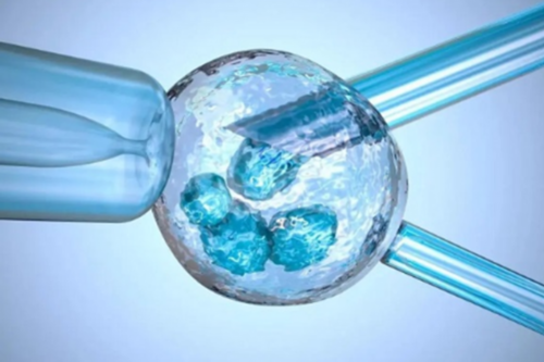 上海助孕宝宝轻微感冒上海助孕宝宝轻微感冒要不要吃药