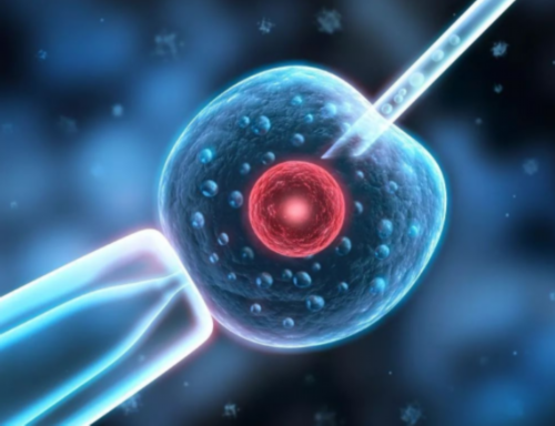 马年上海助孕宝宝起名大全