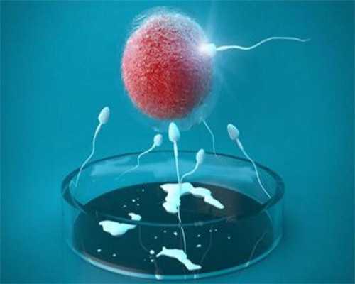 上海助孕及费用，提前计算好准妈妈的排卵期，对上海助孕试管婴儿人工授精手