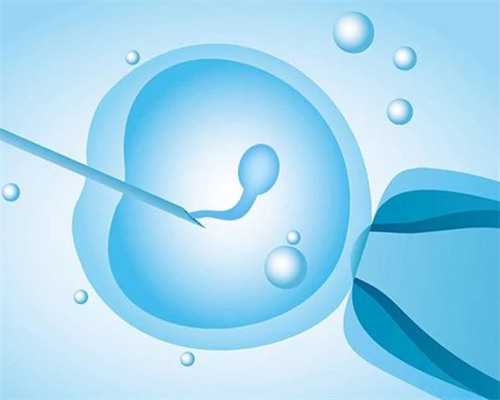 上海私立医院试管男孩(上海做试管哪个医生好)