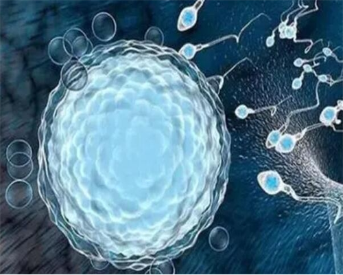 上海借精试管代怀,试管婴儿进周后要经过哪些治疗步骤-上海哪有可以做供卵试