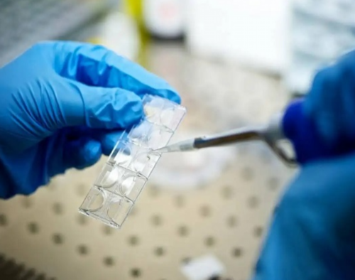 上海供卵代生收费 上海冻卵到底好在哪里 ‘b超hr看男女’