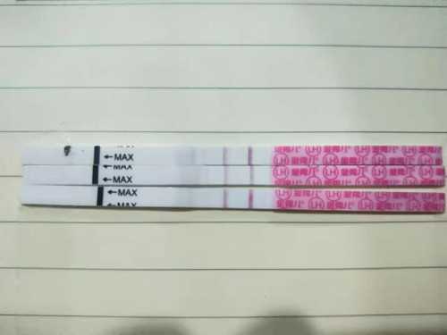 上海借卵子机构，上海借卵三代试管婴儿男孩费用15万可信吗可靠吗？