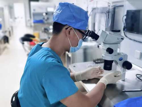 上海代怀孕费用,02026年上海十大私立试管医院排名榜公布，这家生殖机构位列首