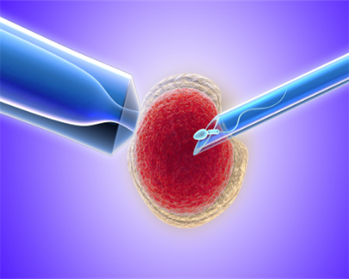上海找人代生宝宝,上海奉贤月子中心大概多少钱一月 坐月子可以吃什么水果