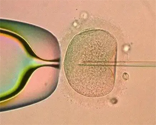 怀孕八周突然流血掉下血块