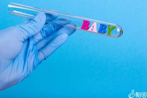 上海捐卵多少钱,上海捐卵试管有无风险_代孕公司怎样