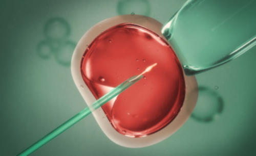 上海怎么去做代生,上海一妇婴三代试管能生男孩吗？附详细试管费用