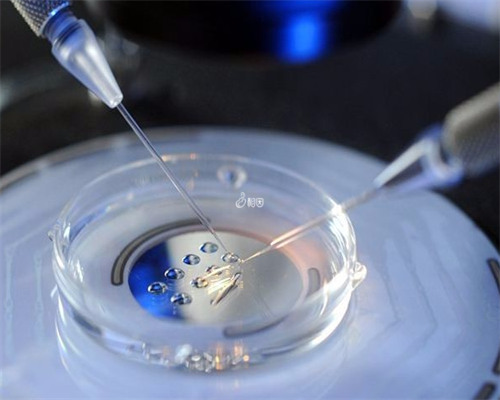 上海试管供卵中心，上海永远幸供卵试管