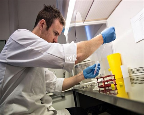 上海代怀孕价格,上海代怀生子试管机构新排名,附2026借卵生男孩费用一览!