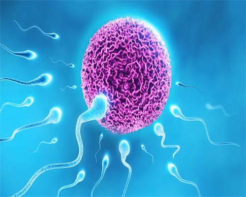 上海怎么去做代生,试管移植后，可以泡脚吗？-试管移植怀孕后可以喝杏仁露