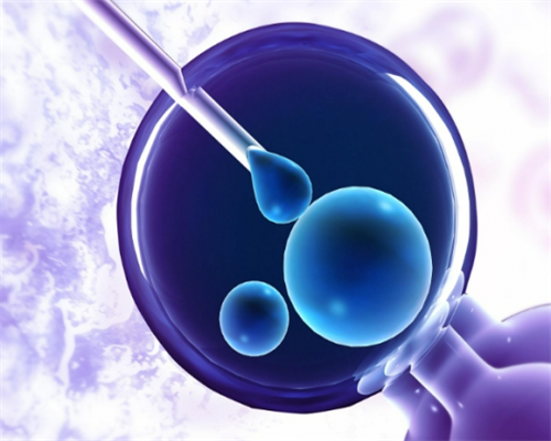 上海试管供卵助孕机构,上海仁济医院供卵流程-陈昱霖