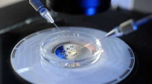 上海的合法供卵，上海供卵咨询传承生殖可靠,上海供卵都赞传承生殖