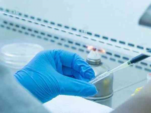 上海代怀网品牌，上海代怀生子试管机构最新排名,附2026借卵生男孩费用成功率