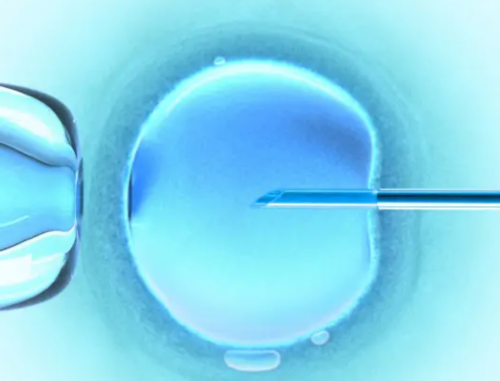 试管婴儿麻醉会影响成功率吗~代生儿子咨询