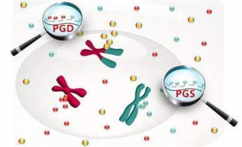 上海供卵生男孩，上海三代试管管供卵的费用高吗，2026上海供卵生男孩价格流