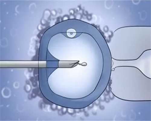 上海代孕套餐价钱表,上海哪家做试管婴儿可以选择性别,宫寒备孕吃什么助孕