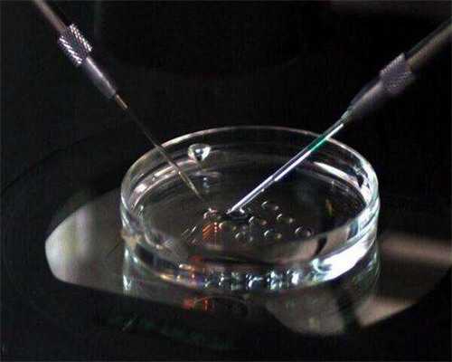 上海哪里能代怀，上海试管供卵机构代怀,上海供卵机构一枚爆款试