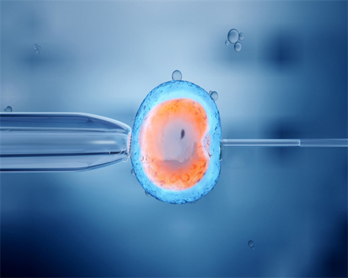 试管婴儿有什么技术缺陷?~供卵试管借卵