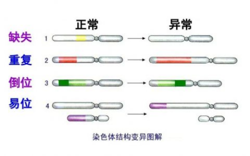 上海助孕机构代怀,【供卵试管三次失败?】八月生化,九月好孕了_上海供卵试