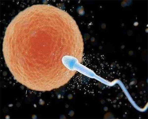 上海比较好试管医院私立排名,附上海试管医院排名