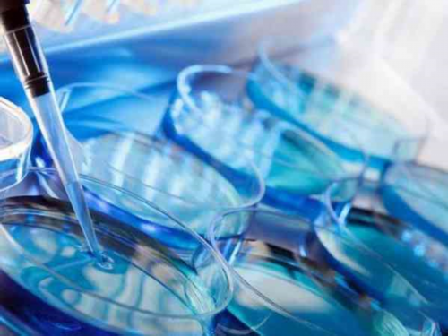 上海捐卵多少钱,上海捐卵试管有无风险-供卵公司电话