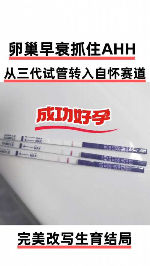 上海捐卵试管有无风险,上海捐卵多少钱_代怀一键咨询