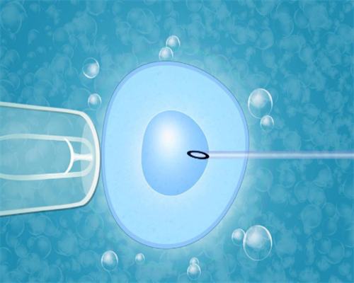 上海助孕宝宝36度正常吗