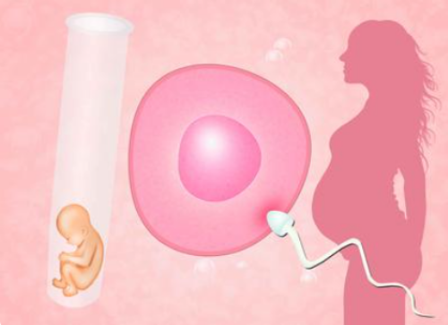 上海供卵试管费用多少,上海仁济医院供卵流程-代孕网页