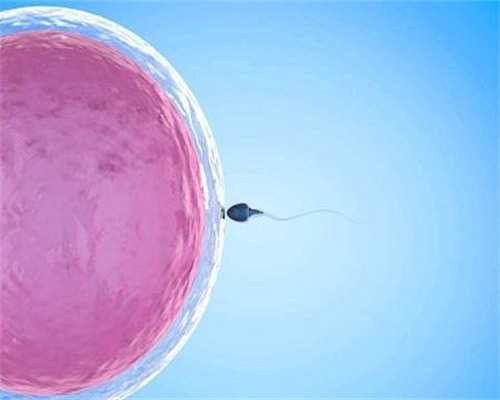 上海代孕哪里优惠,上海知名生殖机构:在生殖中心供卵生孩子费用介绍