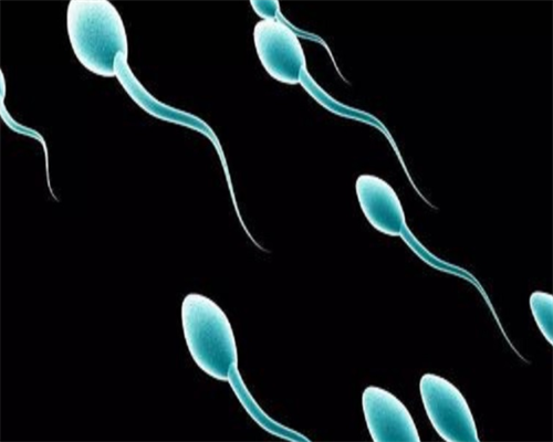 2026年想要快速，掌握这4个备孕小技巧助你早日怀上虎上海助孕宝宝