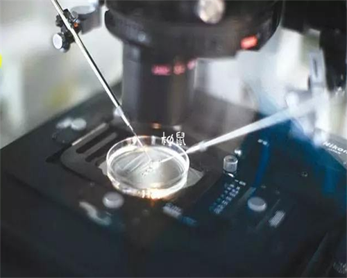 最有可能导致试管婴儿不成功的原因有哪些呢?-试管移植后能吃荔枝和桃子吗