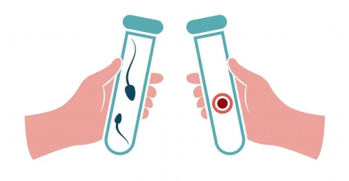 上海助孕宝宝多大会抬头