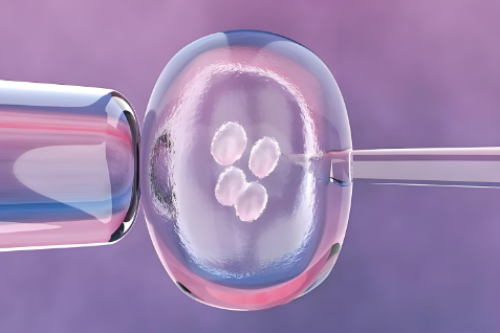 上海助孕妇服务，上海助孕试管婴儿专家解析：试管婴儿促排阶段长短方案的区