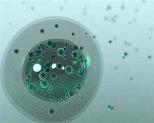 上海助孕怎么样，上海供卵搜寻世纪助孕,上海供卵联系应来世纪助