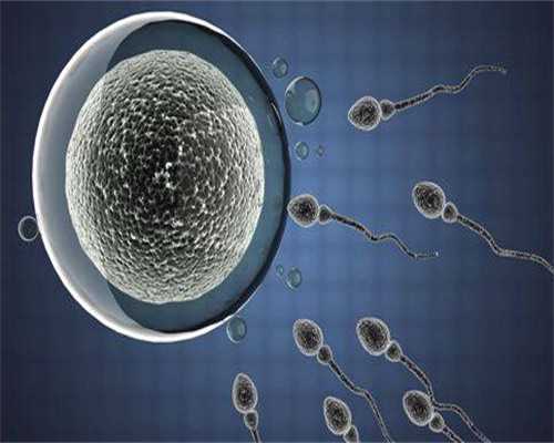 上海捐卵多少钱,上海捐卵试管有无风险-代生供卵费用