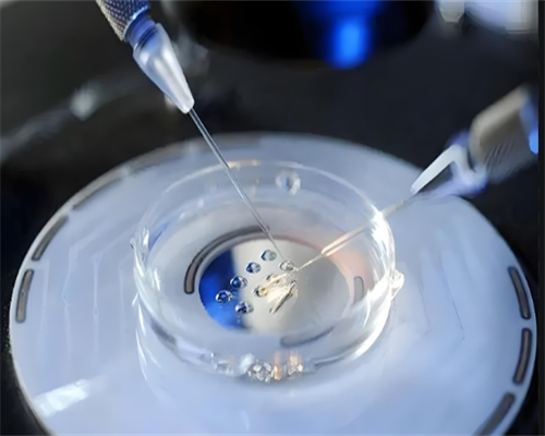 上海代生选性别,上海集爱遗传与不育诊疗中心跟红房子、复旦大学什么关系，