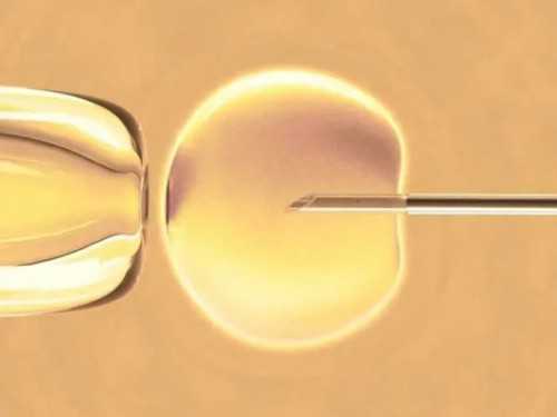 上海代生安全么，捐卵供卵生男孩上海代生（用别人的卵子长得像谁呢）