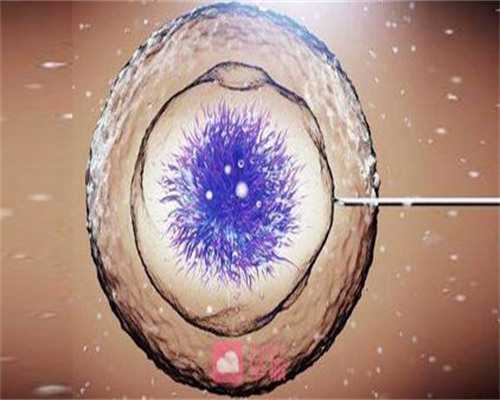 同房几天能测出怀孕~同性爱人代怀