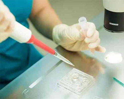 上海正规捐卵子，上海捐卵子,我想捐卵子但是卵子少怎么才能让卵子多呢