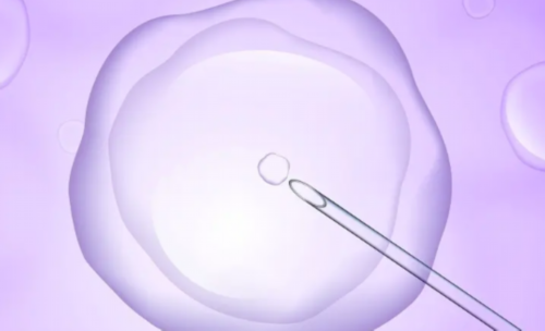 上海助孕能做吗，上海供卵医院举荐坤和助孕,上海供卵找坤和助孕