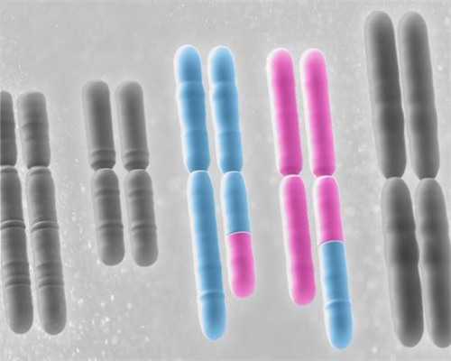 上海代怀公司供卵,上海做三代试管性别能不能选?试管婴儿能决定生男女吗