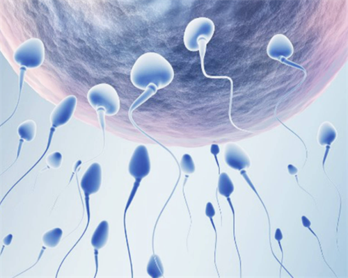 上海助孕宝宝长牙期间要注意什么,上海助孕宝宝长牙顺序不对怎么办