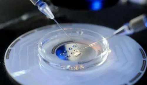 上海皇冠俱乐部怎么样啊（上海皇冠俱乐部怎么样）