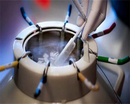 上海代生孩子男，揭阳婴儿捐卵供卵生男孩上海代生