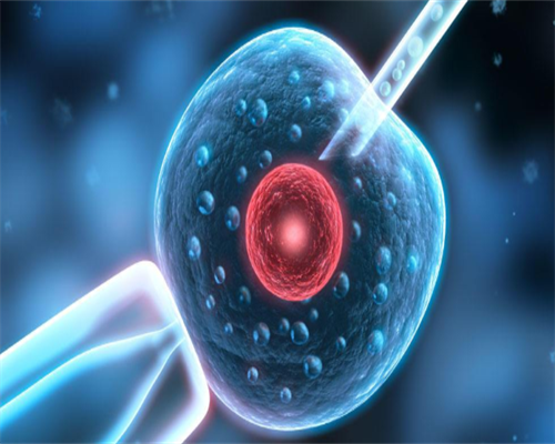 上海捐卵试管有无风险,上海捐卵多少钱_正规代生孩子