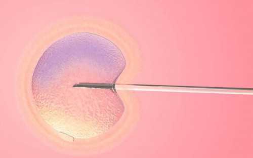 上海供卵助孕要多久,上海供卵医院首选坤和助孕