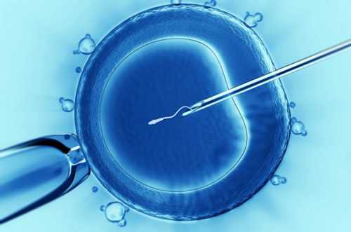 上海做代孕费用,回忆我在上海代孕那段度日如年的日子