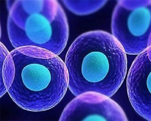 上海自供精卵代孕,试管婴儿检查多久可以同房吗_上海供卵试管公司有哪些-上海